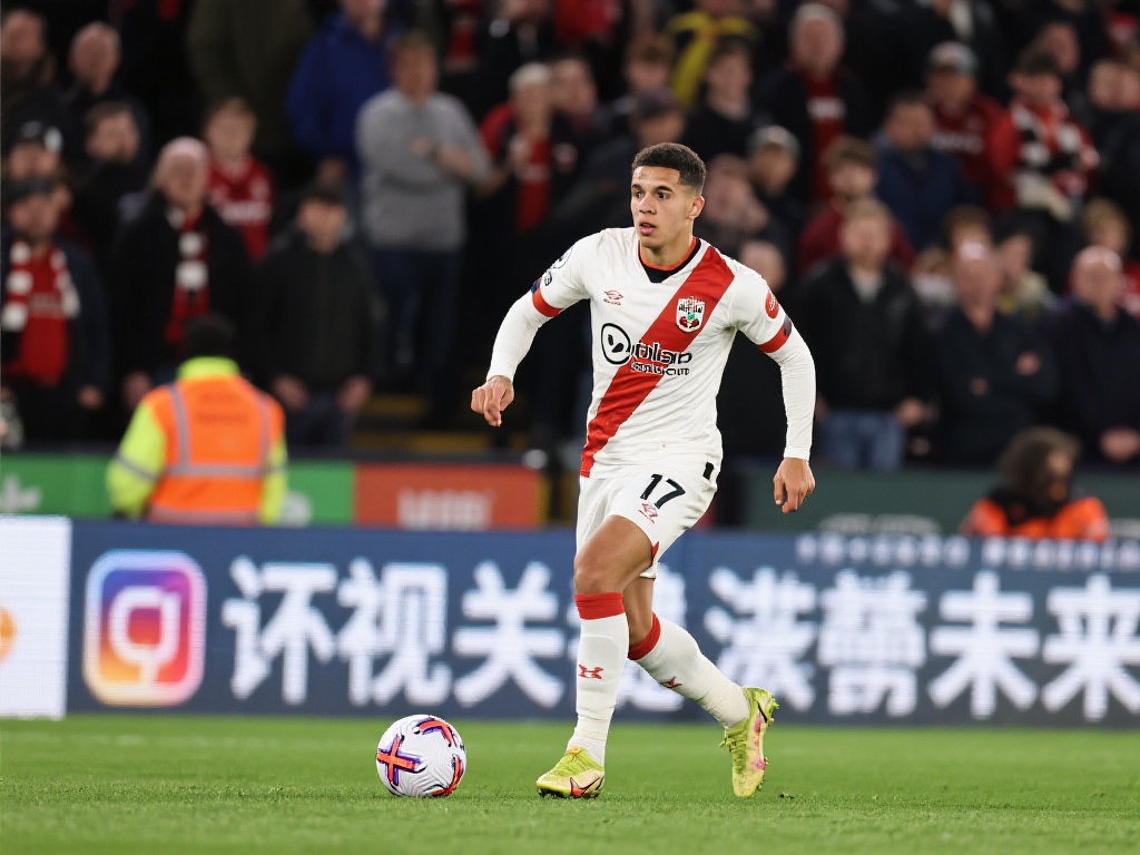 多样性和包 多样性和包